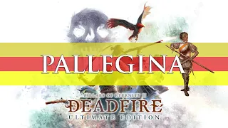Pillars Of Eternity 2 Deadfire: Pallegina Companion Build Guide (Turn-Based & RTWP)