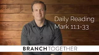 Daily Reading - Mark 11
