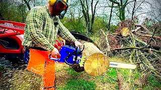 Buying a MASSIVE Chainsaw on Amazon-  Holzfforma G660