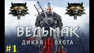 The Witcher 3: Wild Hunt Прохождение ► Начинаем путешествие #1