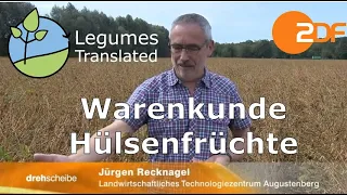 ZDF Drehscheibe Warenkunde Hülsenfrüchte