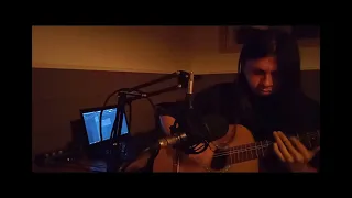 Hollow Acoustic Cover Pantera - Guitar and Vocals