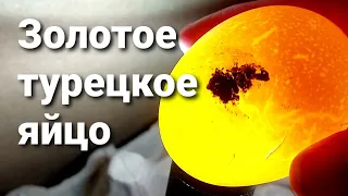 🥚❌Не "попадите" как мы!!! Инкубационное яйцо Турция.