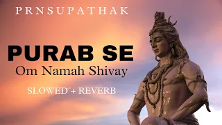 PURAB SE ( OM NAMAH SHIVAY ) | Slowed + Reverb | Shiva song | Sawan special | Mahadev | prnsupathak