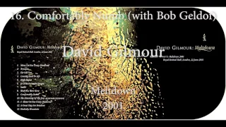 David Gilmour - 16 Comfortably Numb (with Bob Geldof) - Meltdown Concert 2001