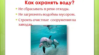 Основы экологии