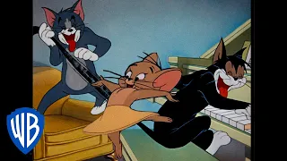 Tom i Jerry po polsku 🇵🇱 | Zabawa w domu | @WBKidsInternational​