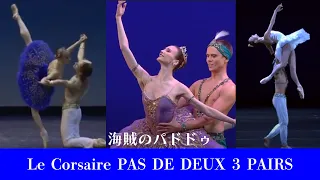 【厳選バレエ】ザハロワ・ダニ―ルシムキン 海賊のパドドゥ| -LE CORSAIRE Pas de Deux