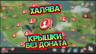 ХАЛЯВА КРЫШКИ БЕЗ ДОНАТА. ВСЕ МЕСТА ГДЕ МОЖНО НАЙТИ КРЫШКИ В ИГРЕ