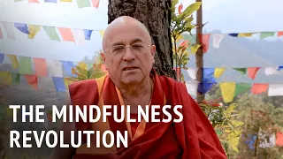 The Mindfulness Revolution | Matthieu Ricard