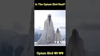 Is The Opium Bird Real ? / Opium Bird का सच #shot #shorts #ytshorts #facts