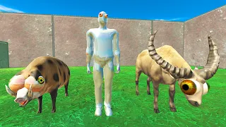 FPS Avatar, Pig & Cape Buffalo Death Run - Animal Revolt Battle Simulator