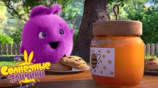 Вкусный мед - Солнечные зайчики | Сборник мультфильмов для детей.