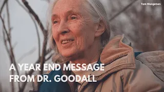 End of the year message from Dr. Goodall