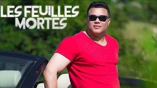 les feuilles mortes (video lyrics) -  imad al mawaj