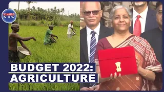 Budget 2022: FM Sitharaman Pushes For Chemical-Free Farming