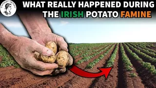 What Happened During The Irish Potato Famine?