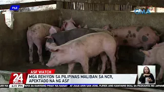 Mga rehiyon sa Pilipinas maliban sa NCR, apektado na ng ASF | 24 Oras