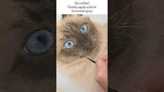 🎨How to Paint WHISKERS #shorts