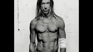 Iggy Pop - Punkrocker (2007)