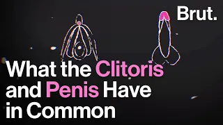 6 things the clitoris and penis have in common