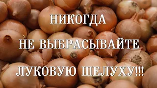 Никогда не выбрасывайте луковую шелуху! || Never throw away onion skins!