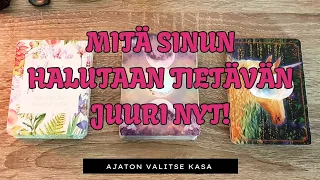 Mitä sinun halutaan tietävän juuri nyt! ✨️🔮✨️ Ajaton valitse kasa ✨️🔮✨️