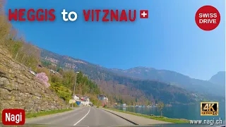 🇨🇭 DRIVING IN SWITZERLAND 4K | Weggis to Vitznau Panoramic Drive along Lake Lucerne Rigi | #nagiCH