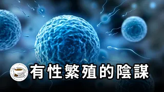 壽命為何是有限的？人類為何無法成為神？性別，其實是上帝對人類施加的詛咒？！