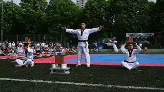 Kukkiwon Taekwondo Show