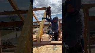 Roof framing #skills #perfect #team #beauty #strong #construction #shorts #short