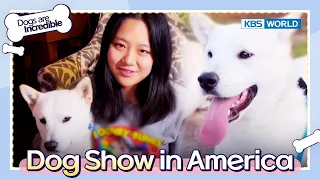 🐶Dog Show in America🇺🇸🇺🇸🇺🇸 [Dogs are incredible : EP.159-1] | KBS WORLD TV 230228