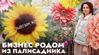 Бизнес родом из палисадника