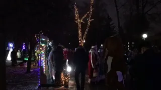 Аллея новогодних ёлок зажжена в Гродно