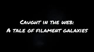 Caught in the web: A tale of filament galaxies...