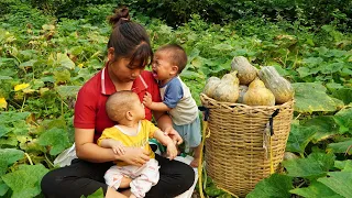 Single Mom, Harvest Pumpkins goes to the market sell, Gardening, Take care of children