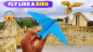 Flying Bird Paper Plane | Origami Bird Paper Plane | Mad Times