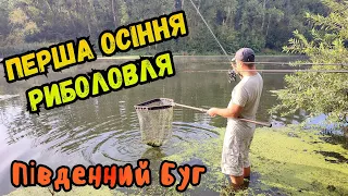 ОСІННЯ РИБОЛОВЛЯ 2023 / ШАУРМА НА ПРИРОДІ / ЧУДОВИЙ КЛЬОВ ЛЯЩА