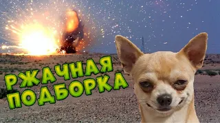 СМЕШНЫЕ ВИДЕО, РЖАЧНЫЕ ПОДБОРКИ, ЛУЧШИЕ ПРИКОЛЫ, FUNNY BANANA, COUB 😂😂😂