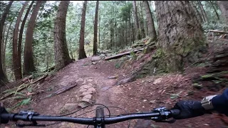 Tiger Mountain State Forest - Master Link - Full Run
