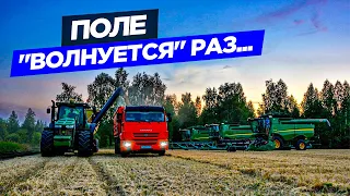 Цепляю Fliegl и мчусь на ячмень. Три роторных John Deere темп уборки не сбавляют.