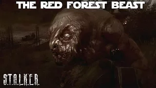 S.T.A.L.K.E.R. Clear Sky -  Following Strelock in The Red Forest