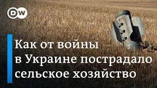 Сельское хозяйство в Украине: заминированные поля, уничтоженная техника