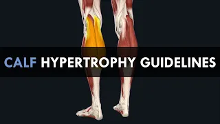 Calf Hypertrophy Training Guidelines | How to Train the Calves for Maximum Growth