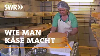 Wie man Käse macht | SWR Handwerkskunst