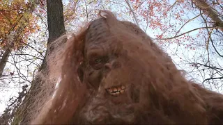 Ozarks Bigfoot Caught by Video Honey Trap!!!?
