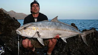 Shore jigging:"La Ricciola"*/ SJ:"The Amberjack"*