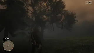 Red Dead Redemption 2 fail