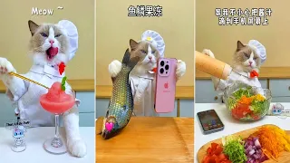 That Little Puff | Cats Make Food #02 😻 | Kitty God & Others | TikTok 2024