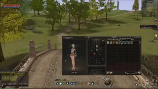 Lineage 2 Classic NA od zera do bohatera